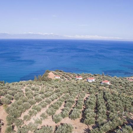 Κτήμα Παπαβασιλόπουλος 2 - Vila Koroni  Exterior foto