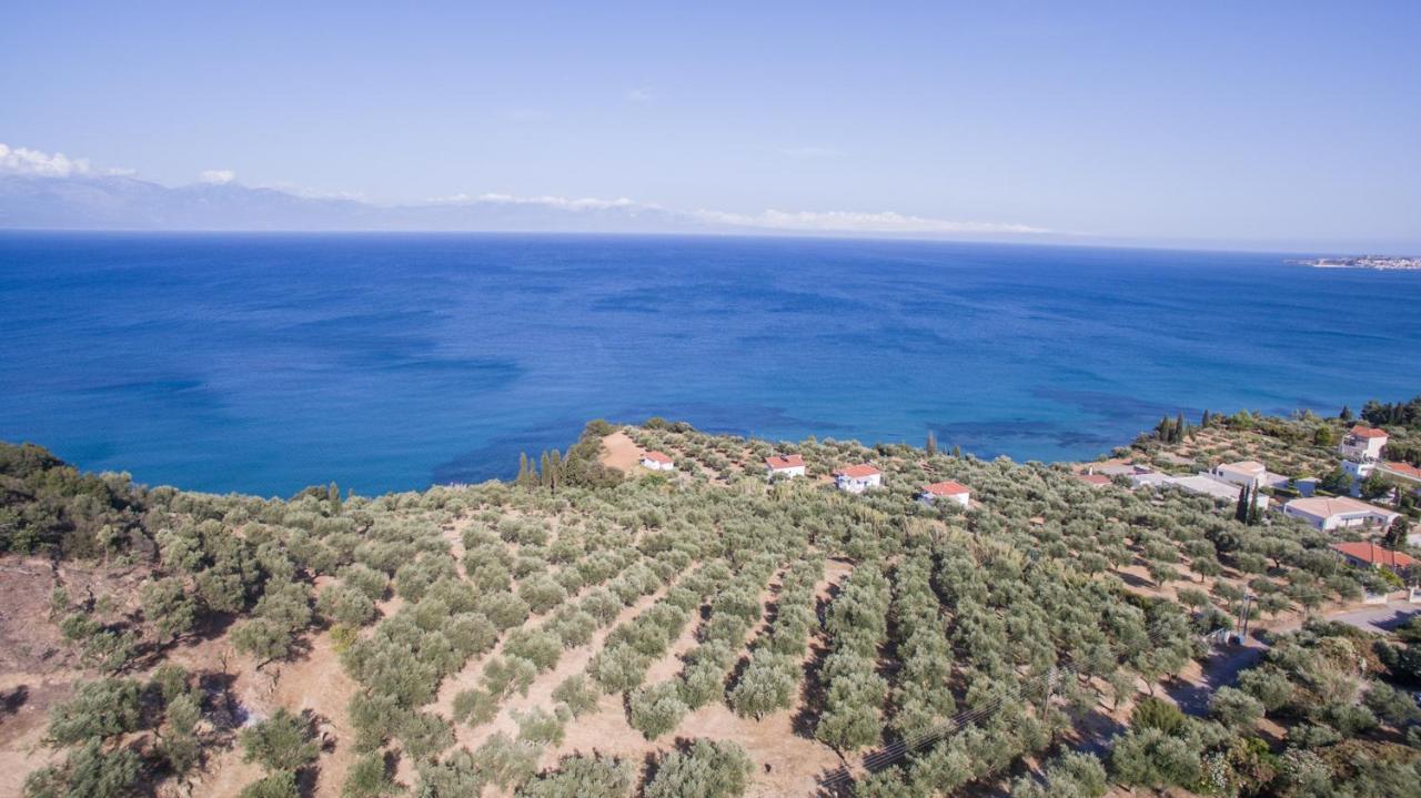 Κτήμα Παπαβασιλόπουλος 2 - Vila Koroni  Exterior foto